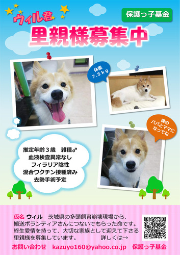 ウィル.jpg