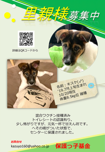 キスケ10月.jpg