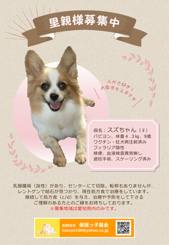スズちゃん.jpg