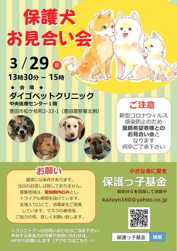 ダイゴお見合い会.jpg