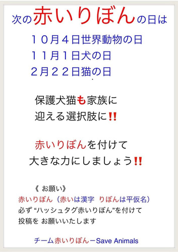 チーム赤いりぼん.jpg