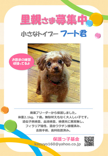 フート君 (2).jpg