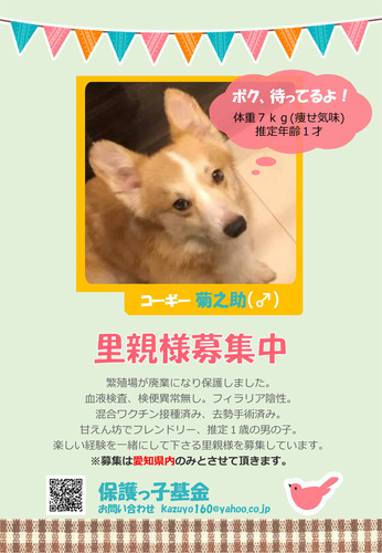 菊之助.jpg