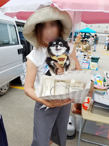 blog_import_5c5379a124078.jpg