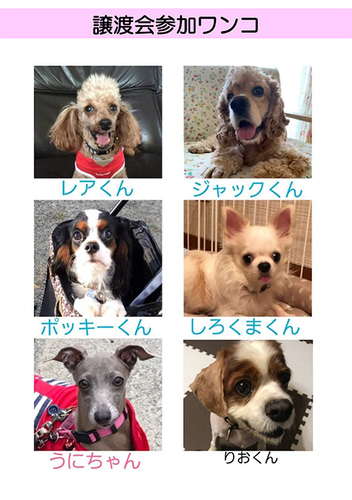 sora保護っ子1.jpg